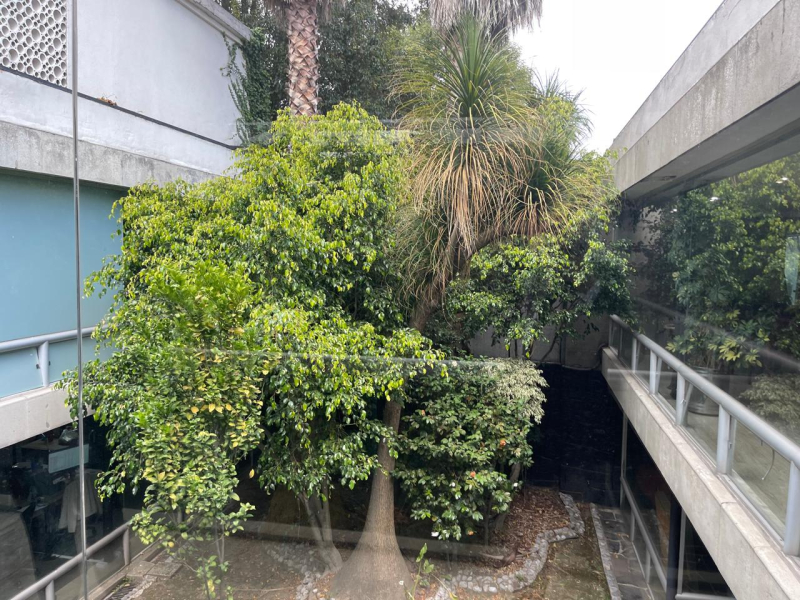 casa con uso comercial en venta o renta sobre avenida reforma