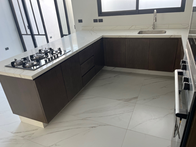 Casa En Condominio En Renta En Altavista Fraccionamiento