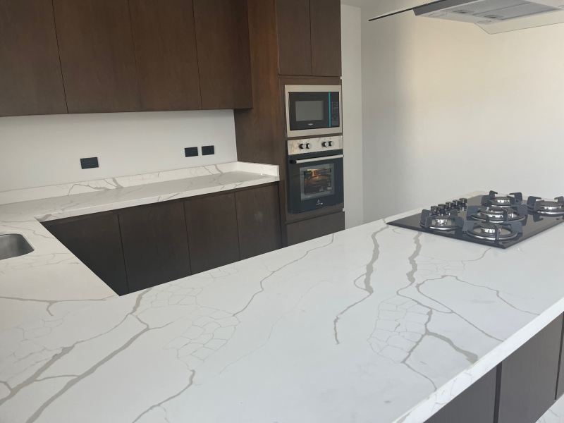 Casa En Condominio En Renta En Altavista Fraccionamiento