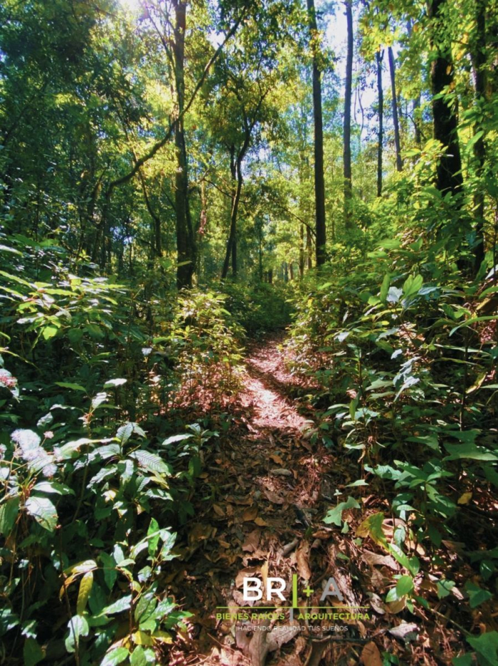 Rancho Cerca De Avándaro