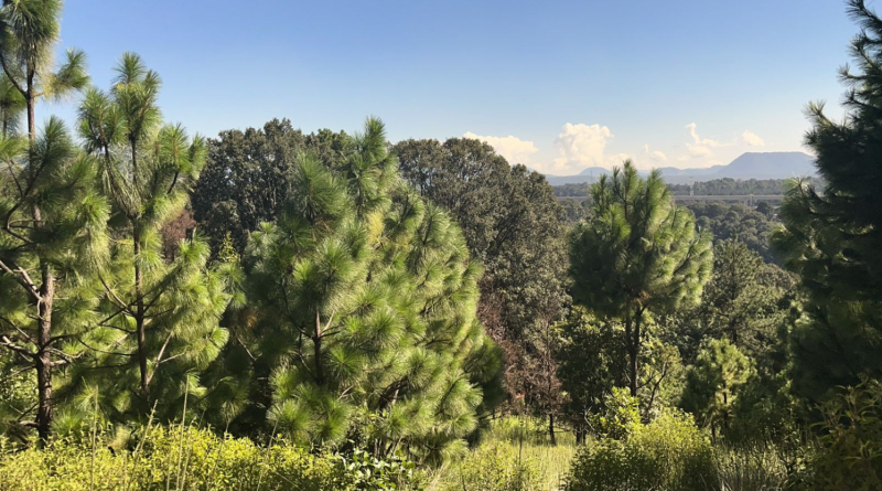 Terreno En Venta En San Miguel Ameyalco 