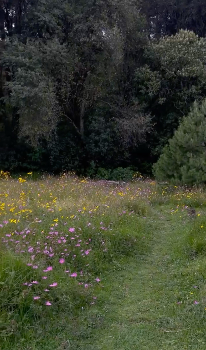 Terreno En Venta En San Miguel Ameyalco 