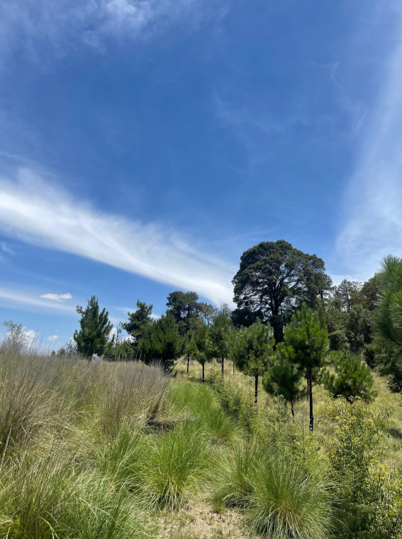 Terreno En Venta En San Miguel Ameyalco 