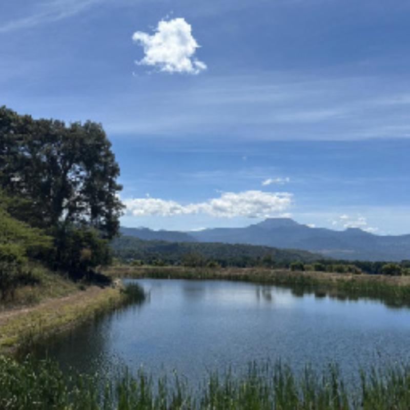 Terreno En Venta En San Miguel Ameyalco 
