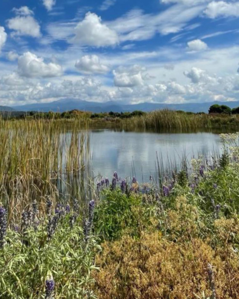 Terreno En Venta En San Miguel Ameyalco 