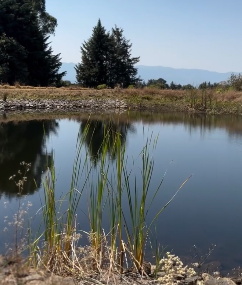 Terreno En Venta En San Miguel Ameyalco 