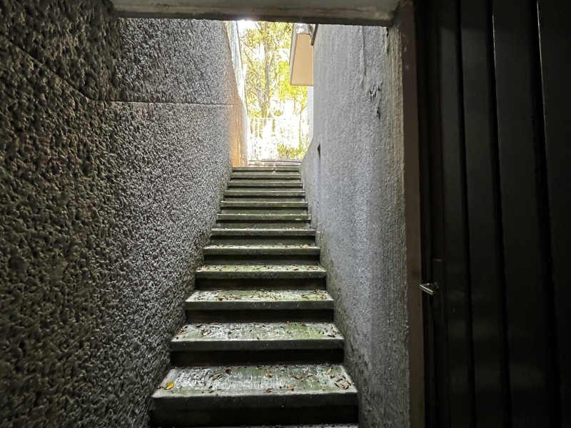 Casa En Renta En Bosques De Las Lomas