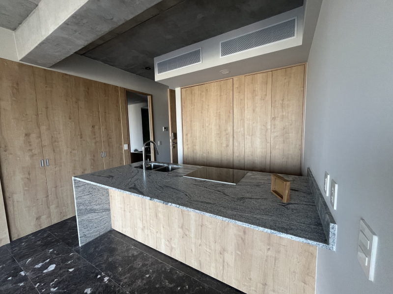 Departamento En Renta En Providencia