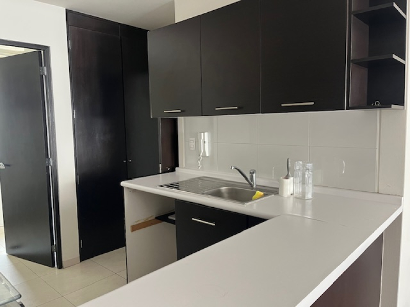 departamento en renta en polanco v sección