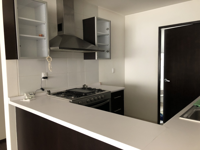 Departamento En Renta En Polanco V Sección