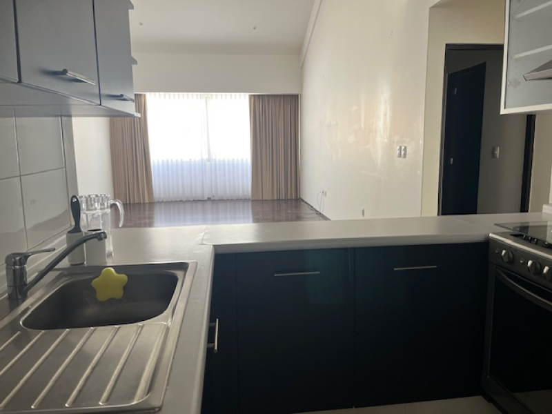 departamento en renta en polanco v sección