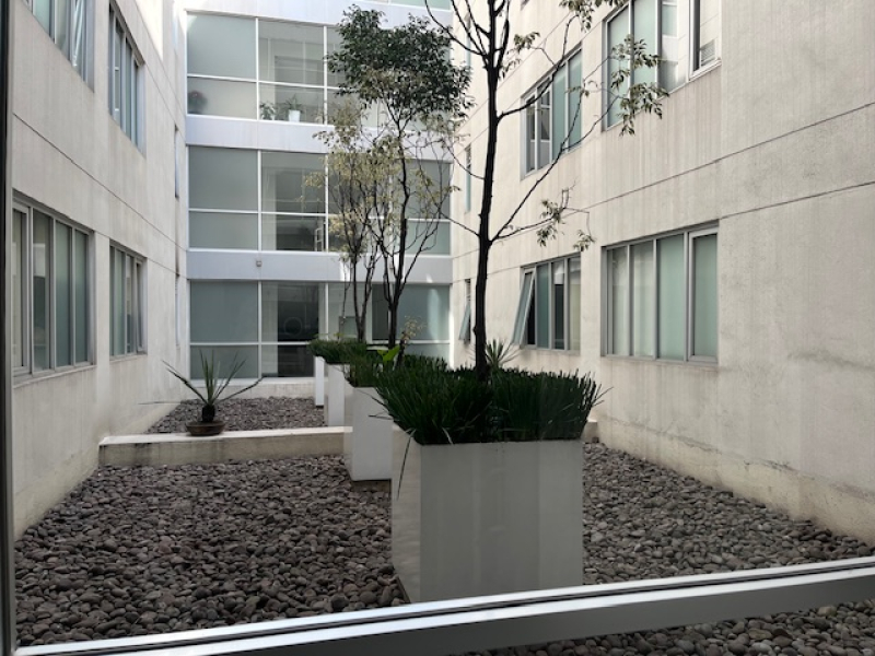 departamento en renta en polanco v sección
