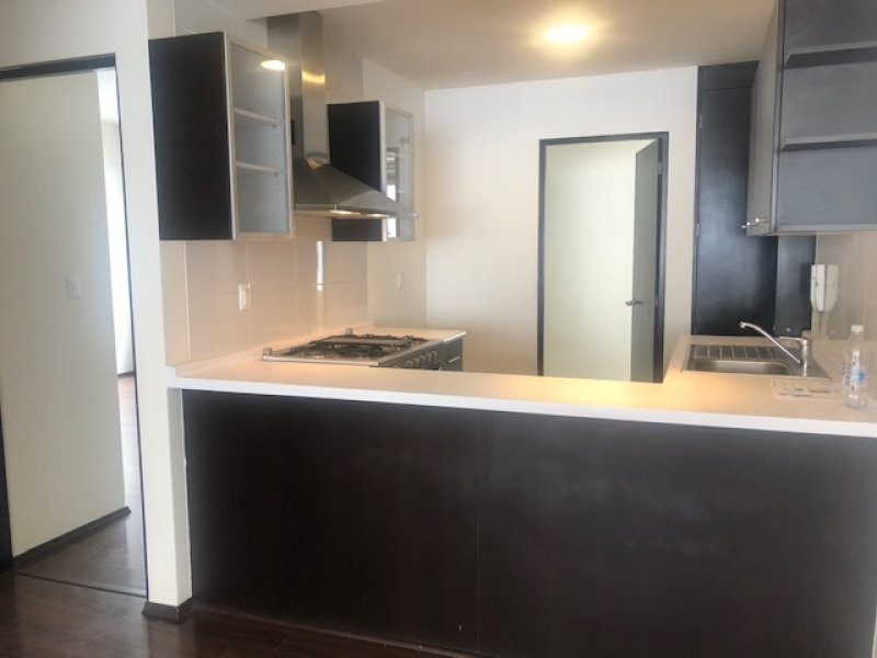 Departamento En Renta En Polanco V Sección