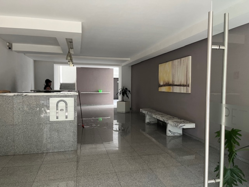 departamento en renta en polanco v sección