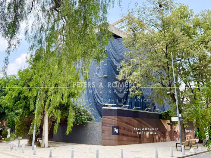 local comercial en renta en mazaryk polanco