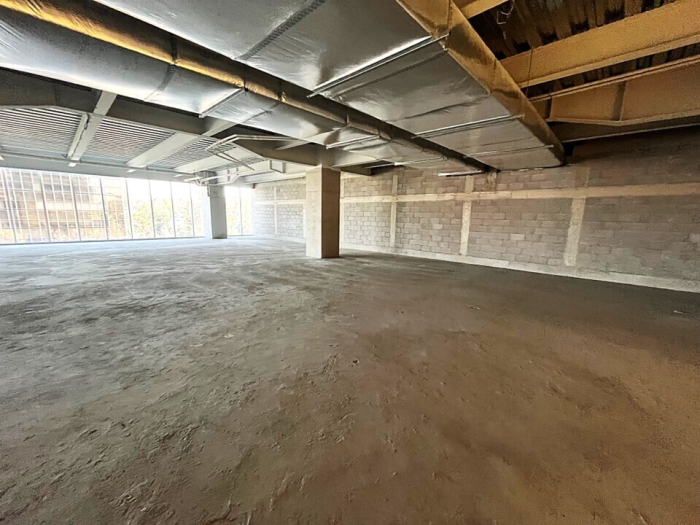 oficina en renta en palmas