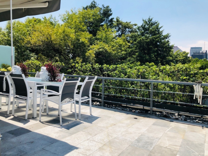 departamento penthouse con terraza en renta en polanco