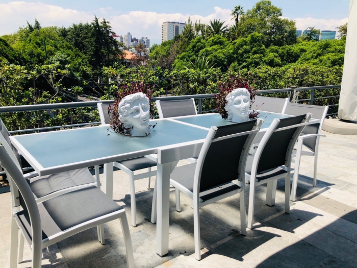 departamento penthouse con terraza en renta en polanco