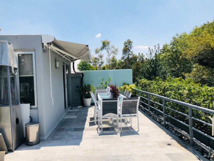 departamento penthouse con terraza en renta en polanco