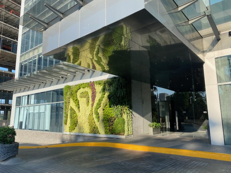 Oficina En Renta En Country Club