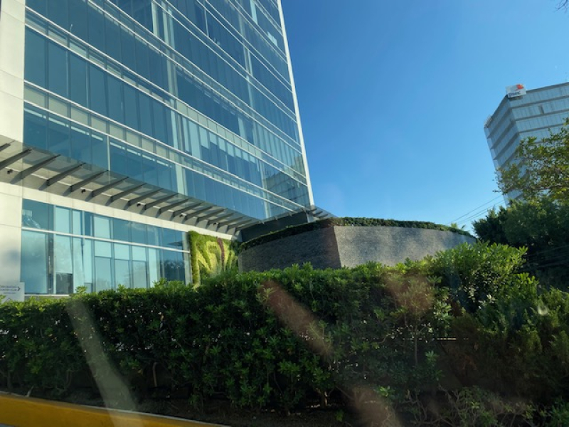 Oficina En Renta En Country Club