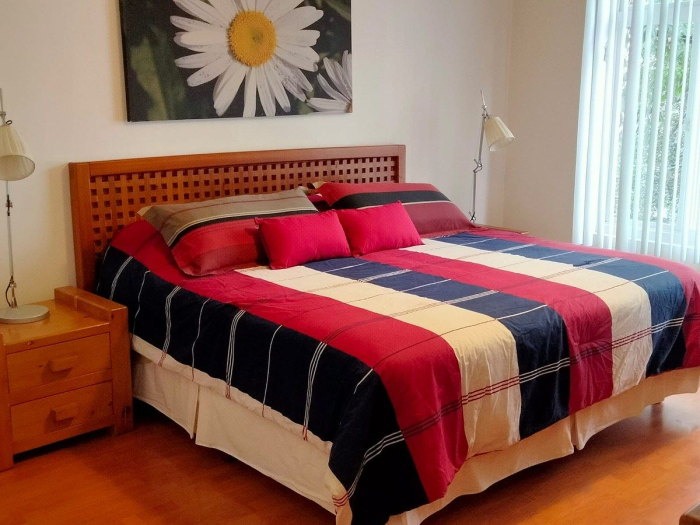 polanco departamento en renta amueblado