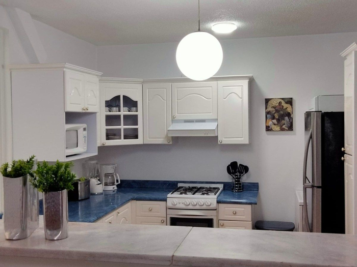 polanco departamento en renta amueblado