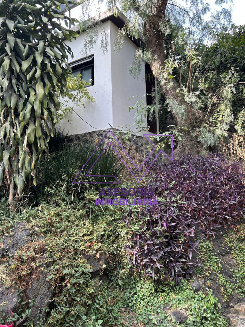 Oficina En Renta En Jardines Del Pedregal