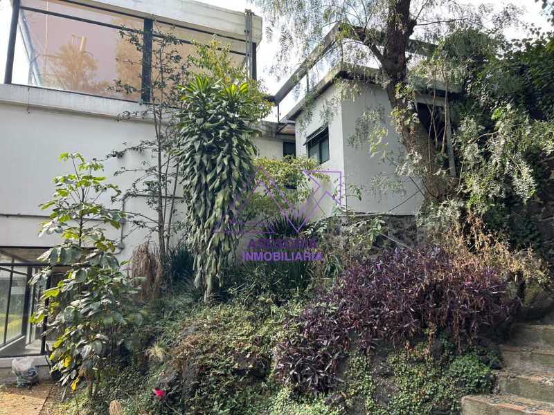 Oficina En Renta En Jardines Del Pedregal