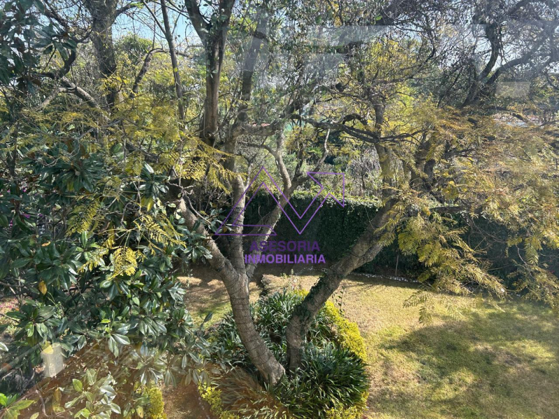 Oficina En Renta En Jardines Del Pedregal