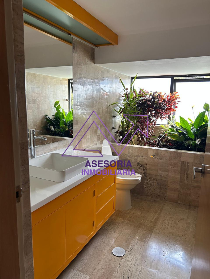 Oficina En Renta En Jardines Del Pedregal