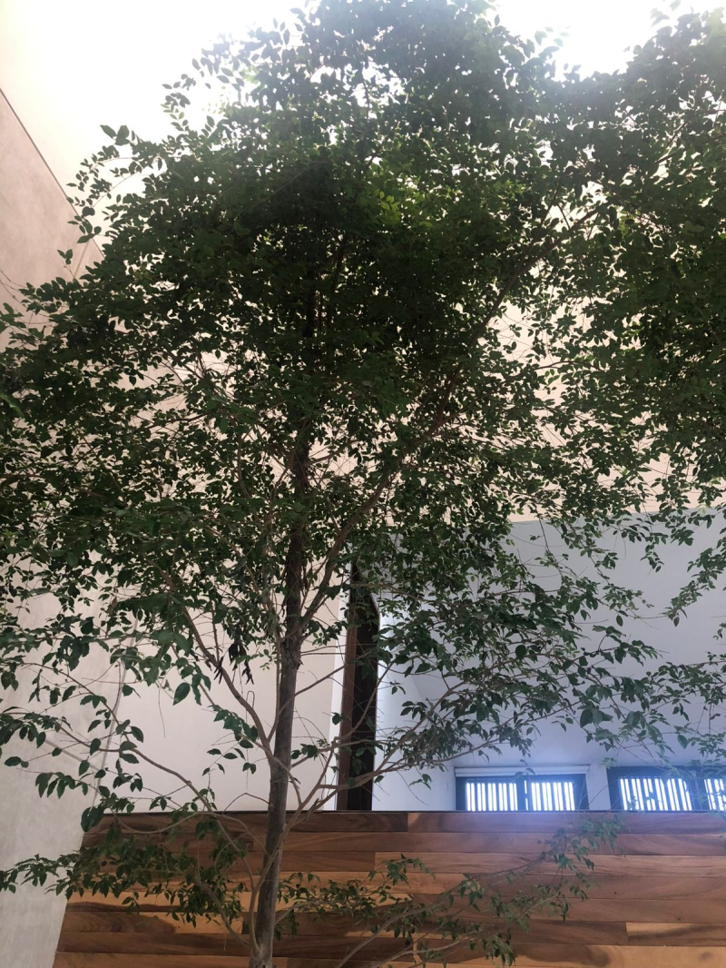 Casa En Condominio En Venta En Puerta Las Lomas