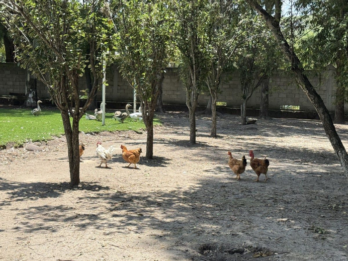 Bonita Quinta en Tepeji del Río