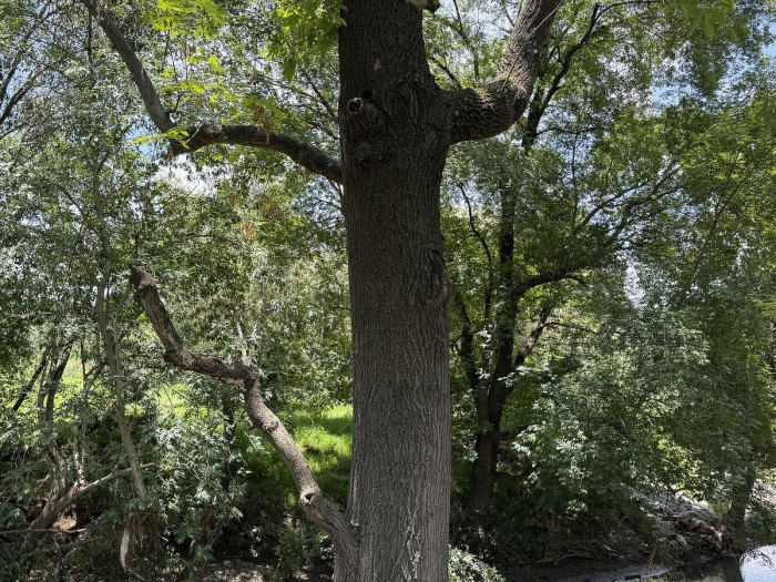 Bonita Quinta en Tepeji del Río
