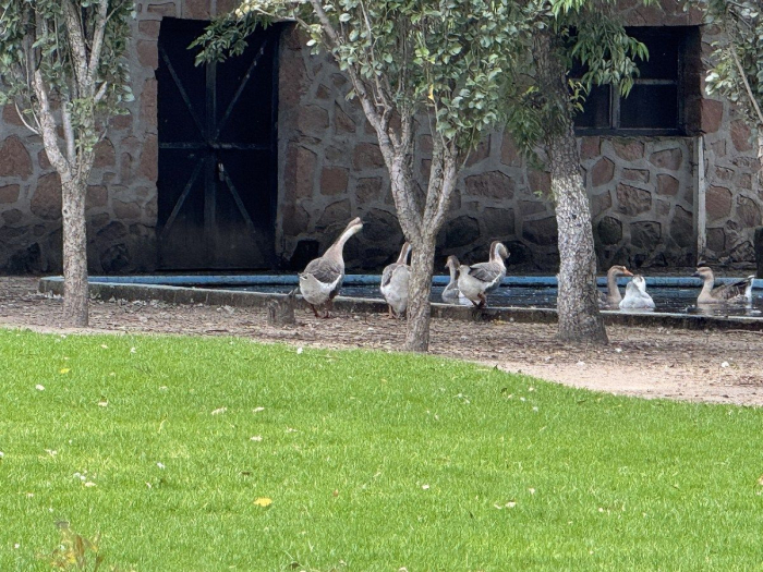 Bonita Quinta en Tepeji del Río