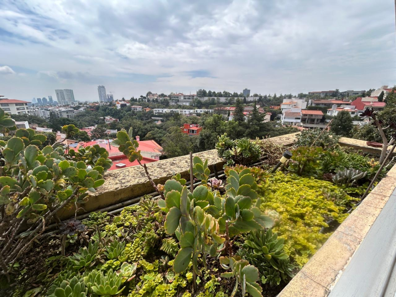 CASA EN VENTA EN PRIVADA - PIRACANTOS - LAURELES - BOSQUES DE LAS LOMAS 