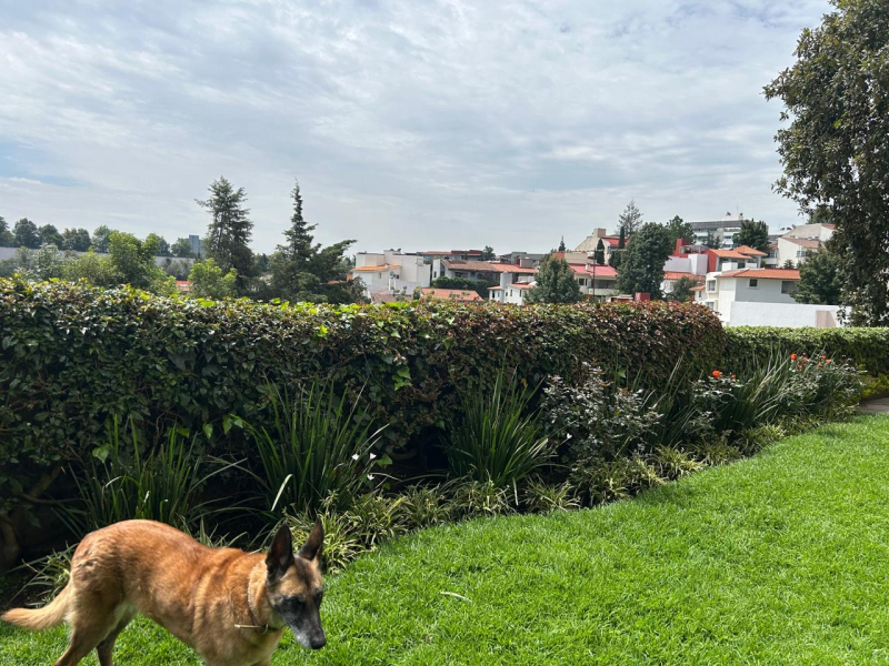 CASA EN VENTA EN PRIVADA - PIRACANTOS - LAURELES - BOSQUES DE LAS LOMAS 