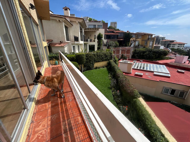 CASA EN VENTA EN PRIVADA - PIRACANTOS - LAURELES - BOSQUES DE LAS LOMAS 