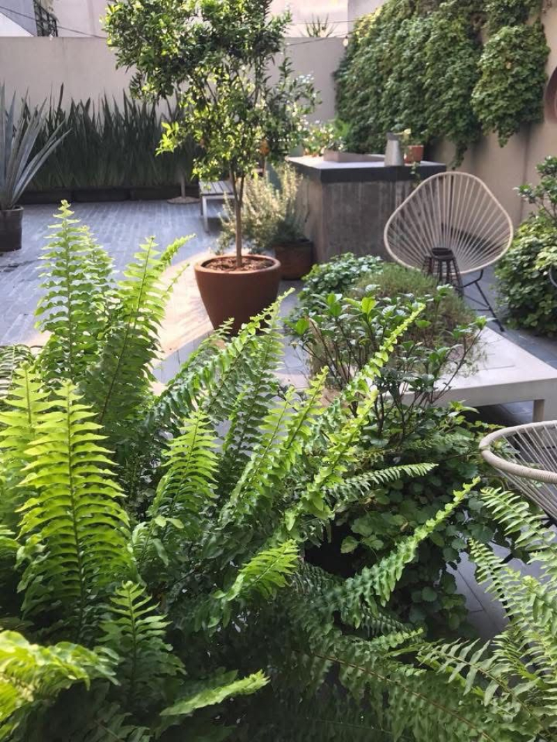 departamento garden con terraza en venta - nuevo león - condesa 