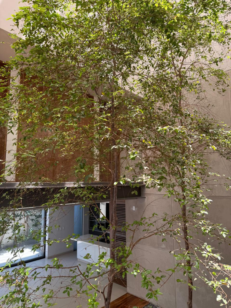 Casa En Renta En Puerta Las Lomas En Zapopan