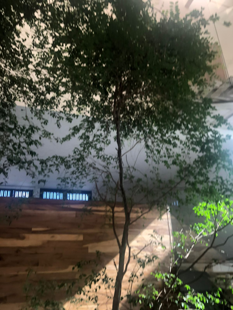 casa en condominio en renta en puerta las lomas