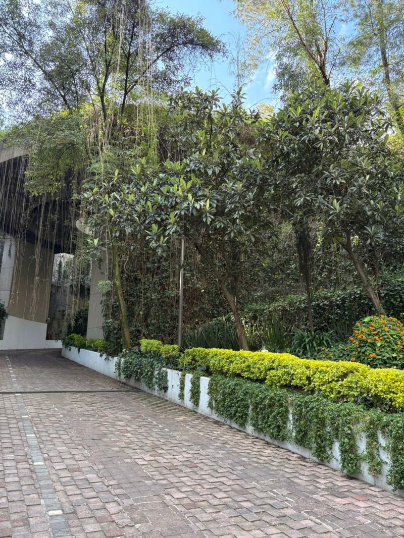 depatamento en venta lomas de chapultepec