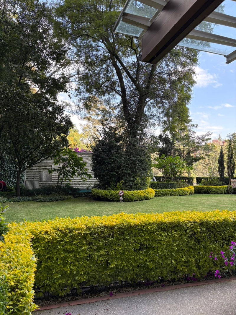 depatamento en venta lomas de chapultepec