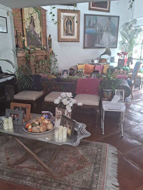 Casa En Venta En Lomas Hipódromo