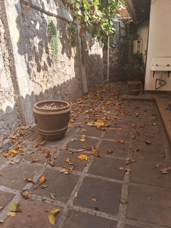 Casa En Venta En Lomas Hipódromo