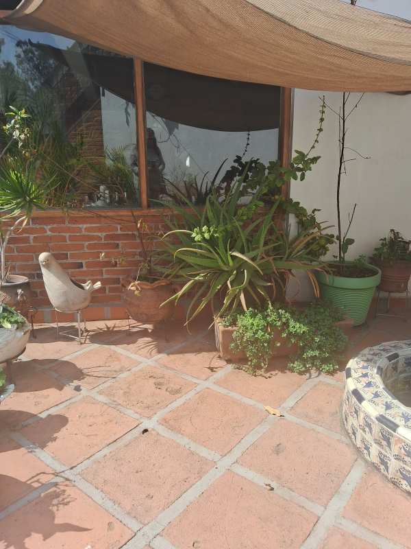 Casa En Venta En Lomas Hipódromo