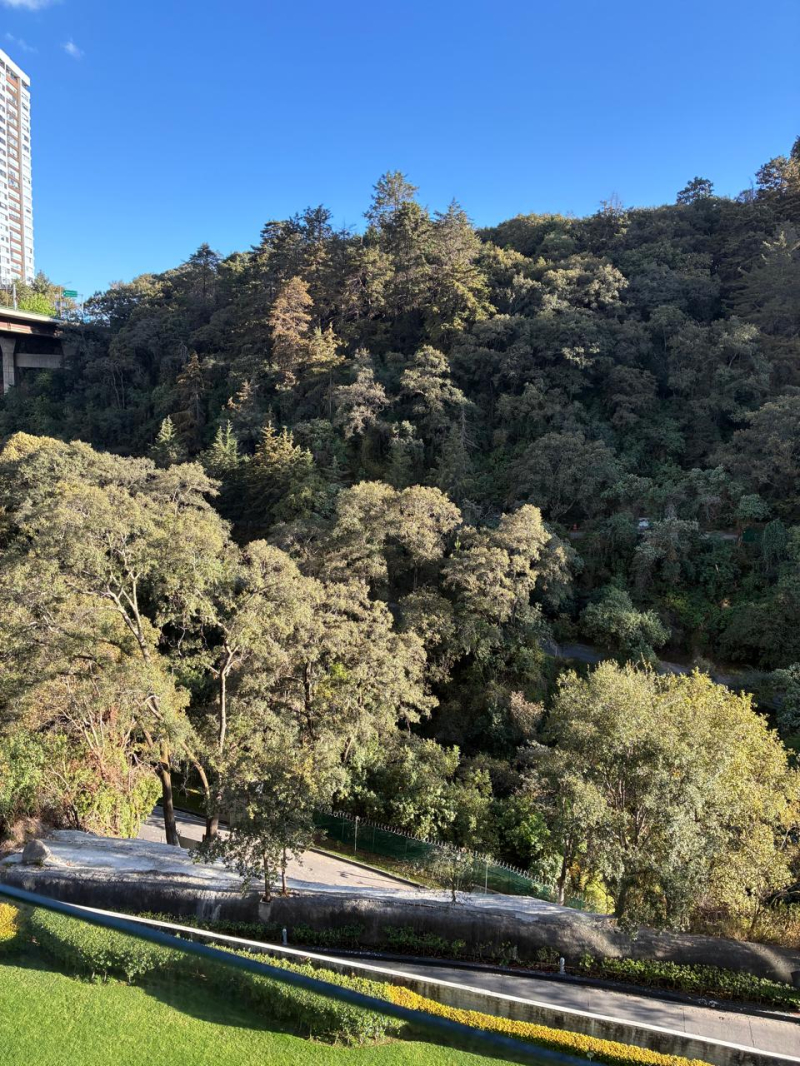 Departamento En Renta, Cumbres De Santa Fe 