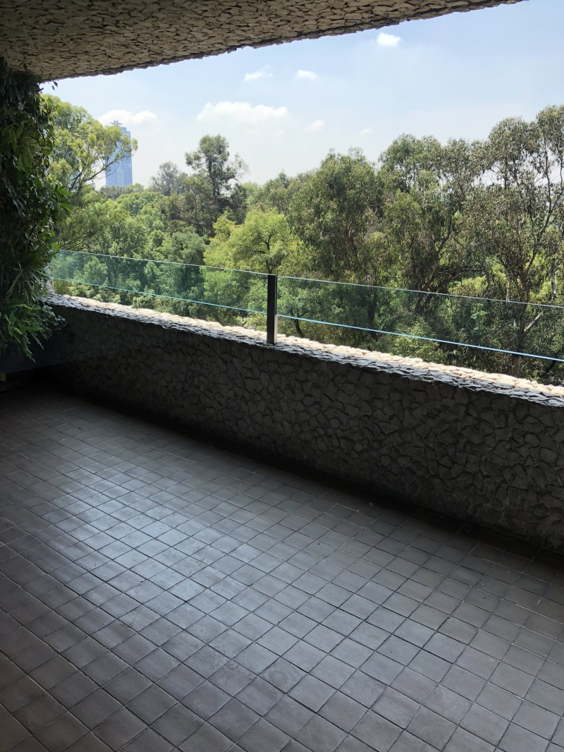 departamento en renta, polanco, ruben dario