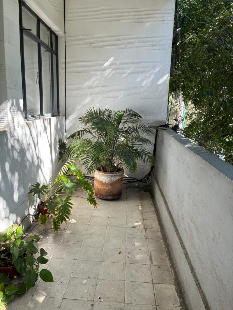 Oficina En Renta, Hipodrómo Condesa, Cuernavaca