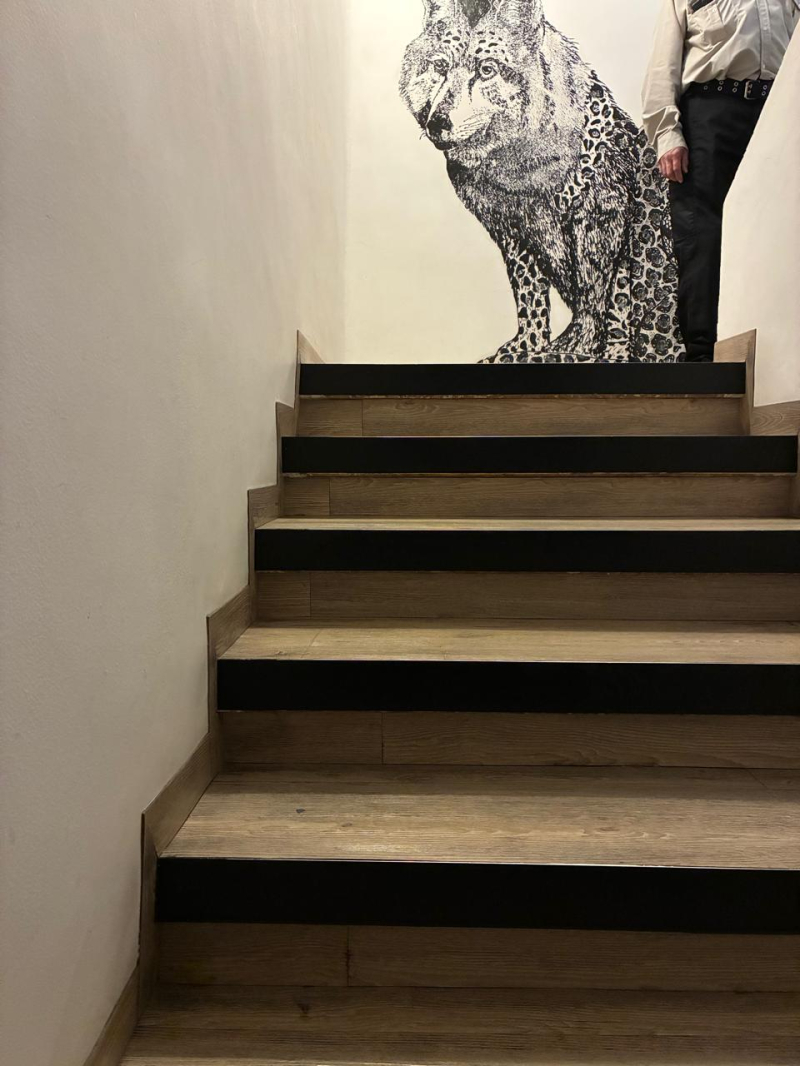 Oficina En Renta, Hipodrómo Condesa, Cuernavaca